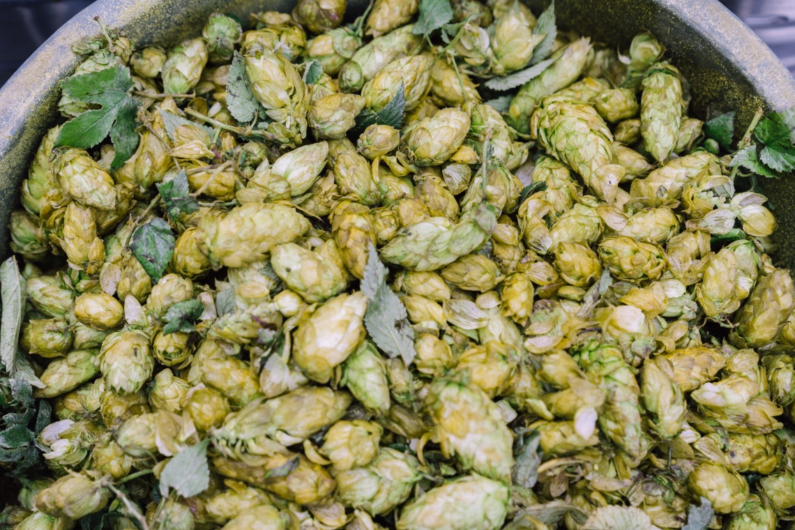 Hops Hops Hops!